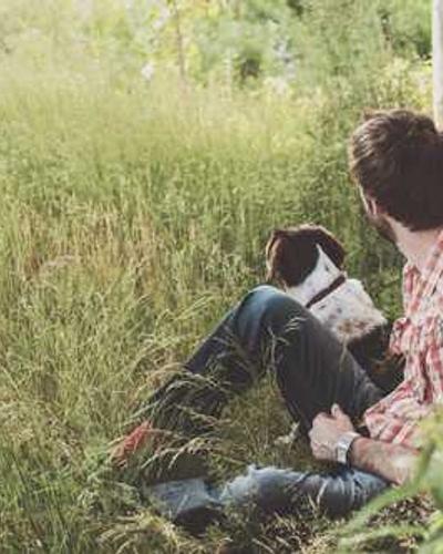 赵强 - 销售总监